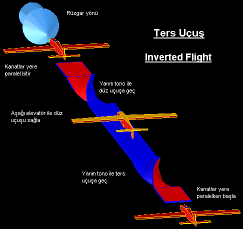 Inverted Flight